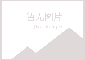 桃山区向彤会计有限公司